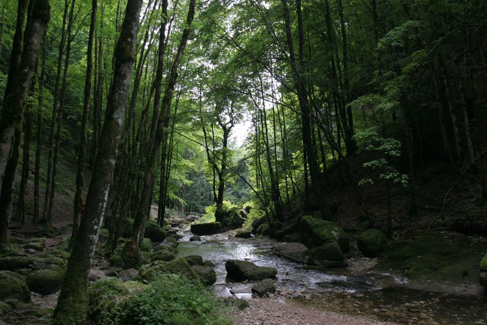 Jura avec Fossard - 071